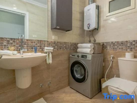 Zamalek Golden apartment - photo 4