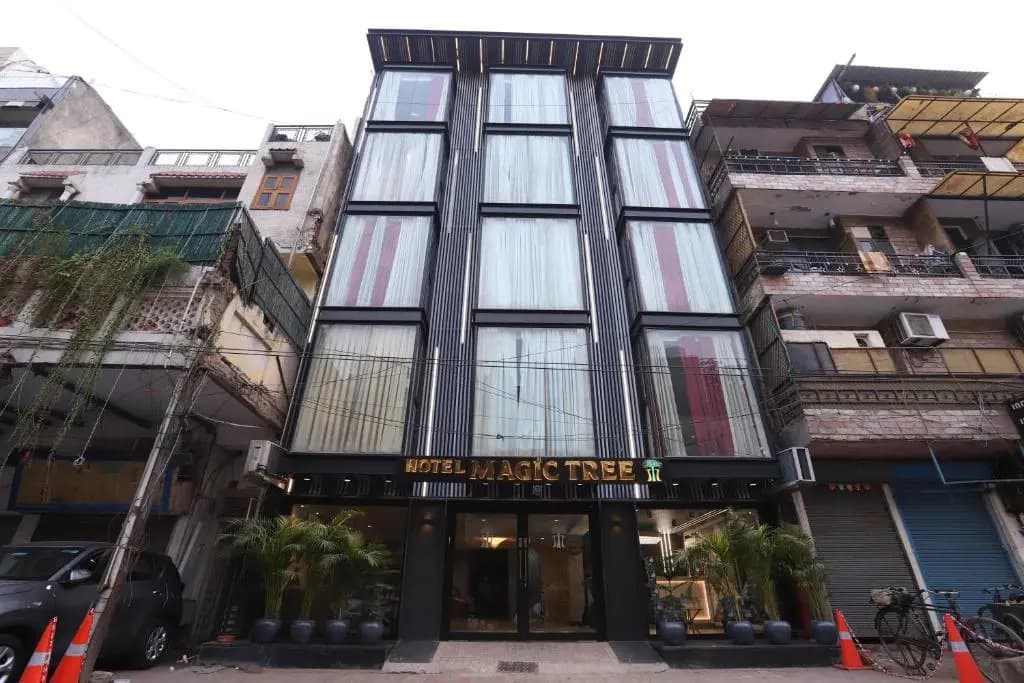 Hotel The Magic Tree - Paharganj - main photo