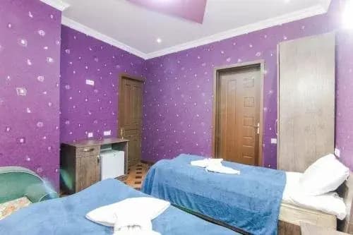 Green Hotel Tbilisi - photo 8