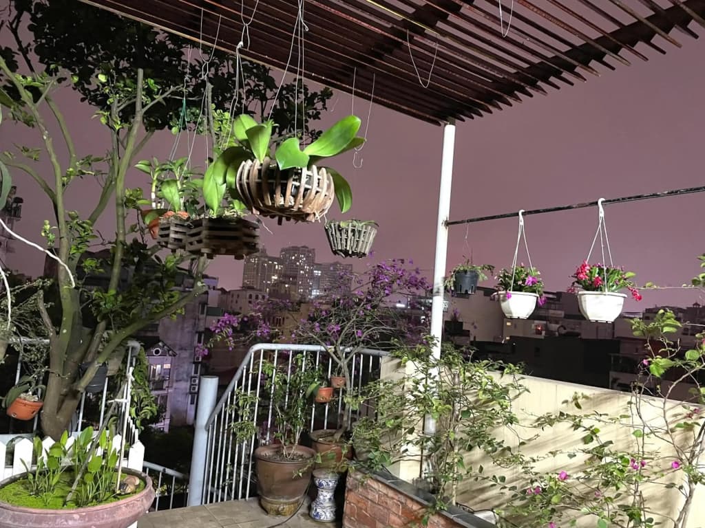 May Residence - photo 18