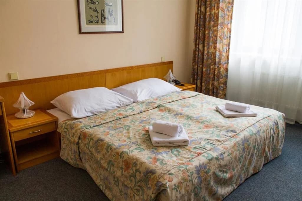 Hotel Dalimil - photo 7