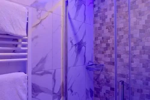 Rose Suite - photo 6