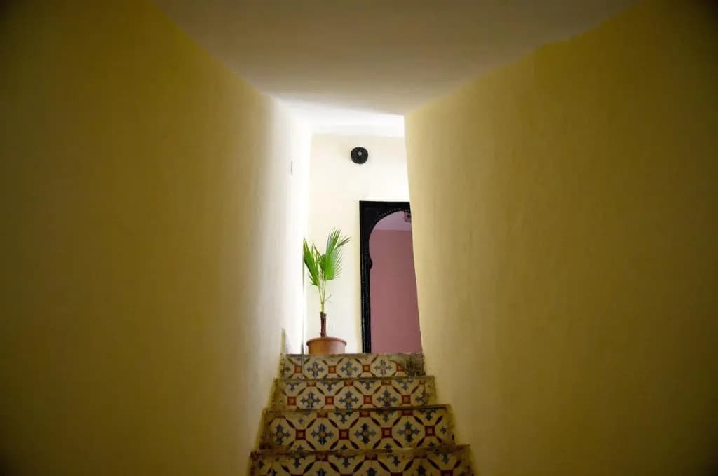 Dar Mirai - photo 9