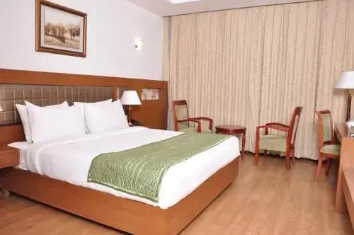 Lilywhite Hotel - photo 6