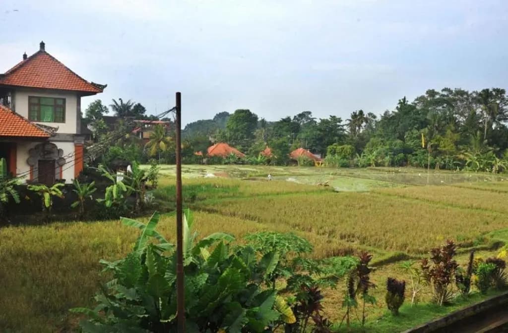 Candra Asri Bungalow - photo 7