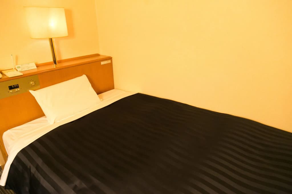 Kyoto Plaza Hotel - photo 7