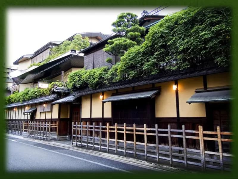 Hiiragiya - photo 20