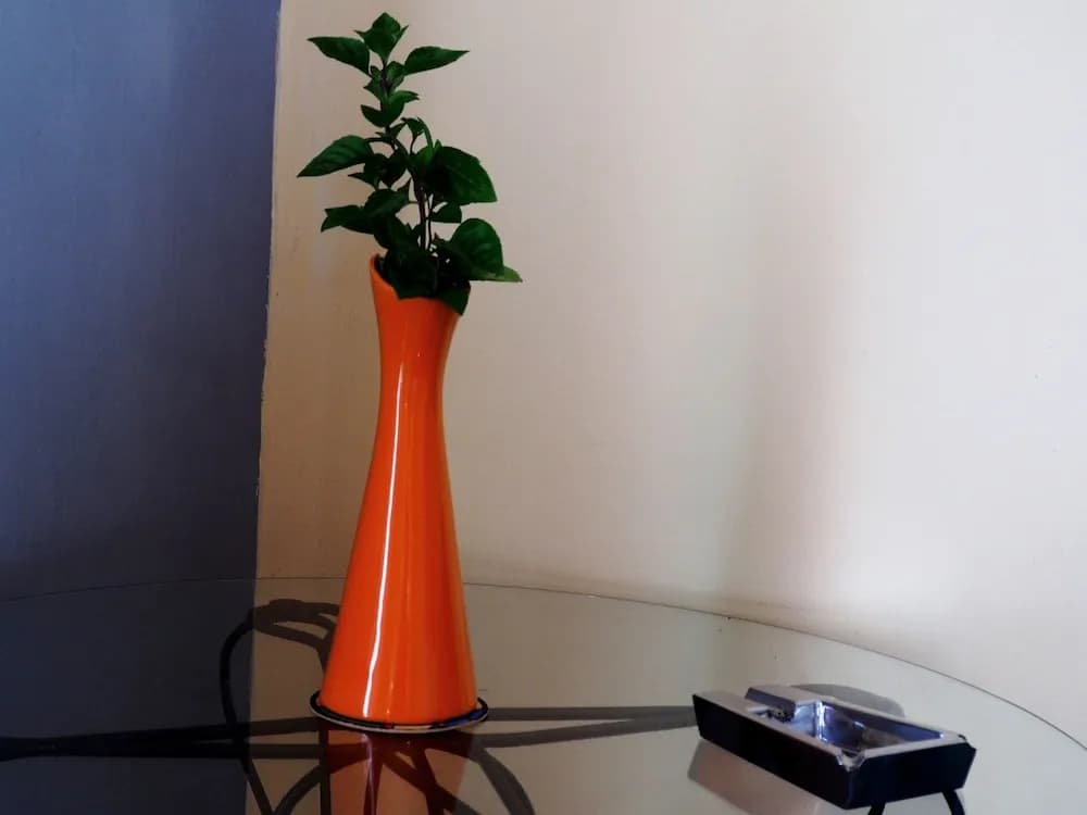 Yhouse - photo 16