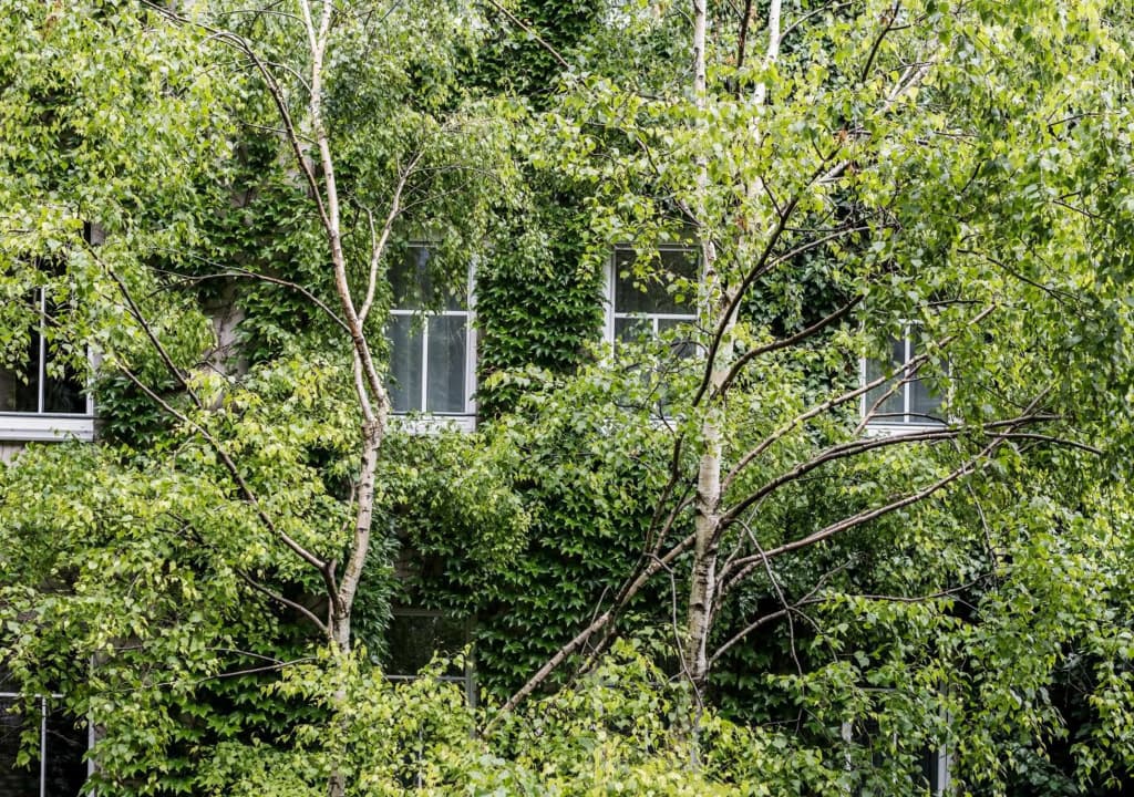 Boutiquehotel Stadthalle by Cocoon - photo 17