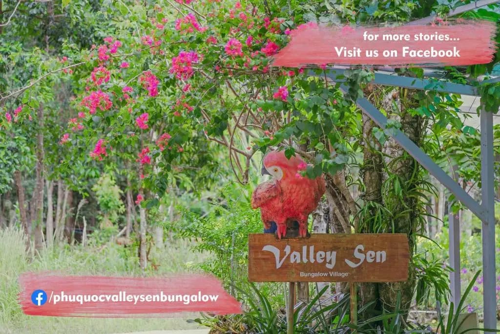 Valley Sen Bungalow - photo 23