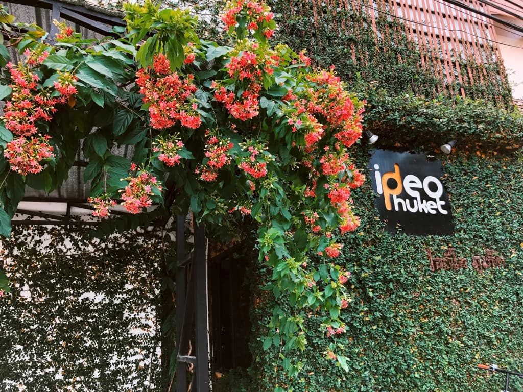 Ideo Phuket Hotel - main photo