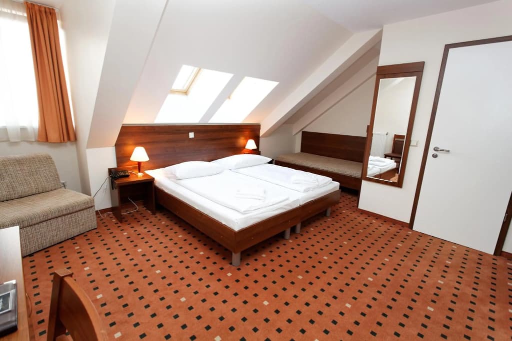 Hotel Europa City - photo 7