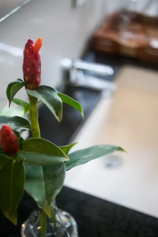 MariJo Villa - photo 11