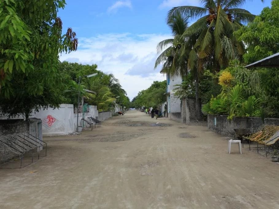 Roashanee Guest House - photo 11