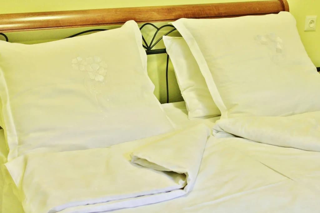 Red Fox Guesthouse - photo 3
