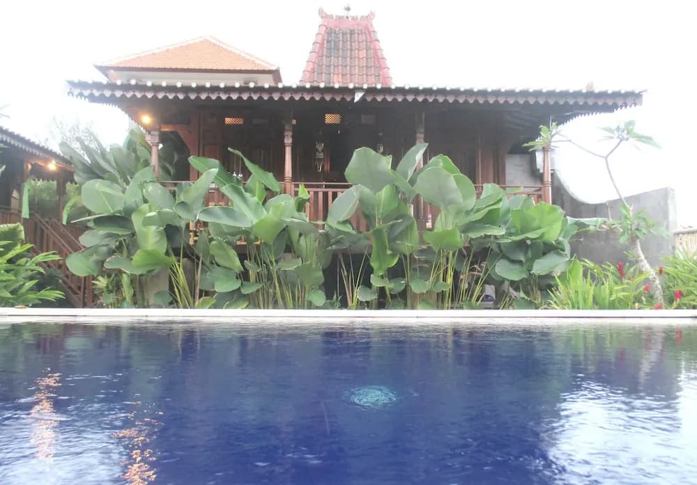 Green Paddy Hostel - photo 16