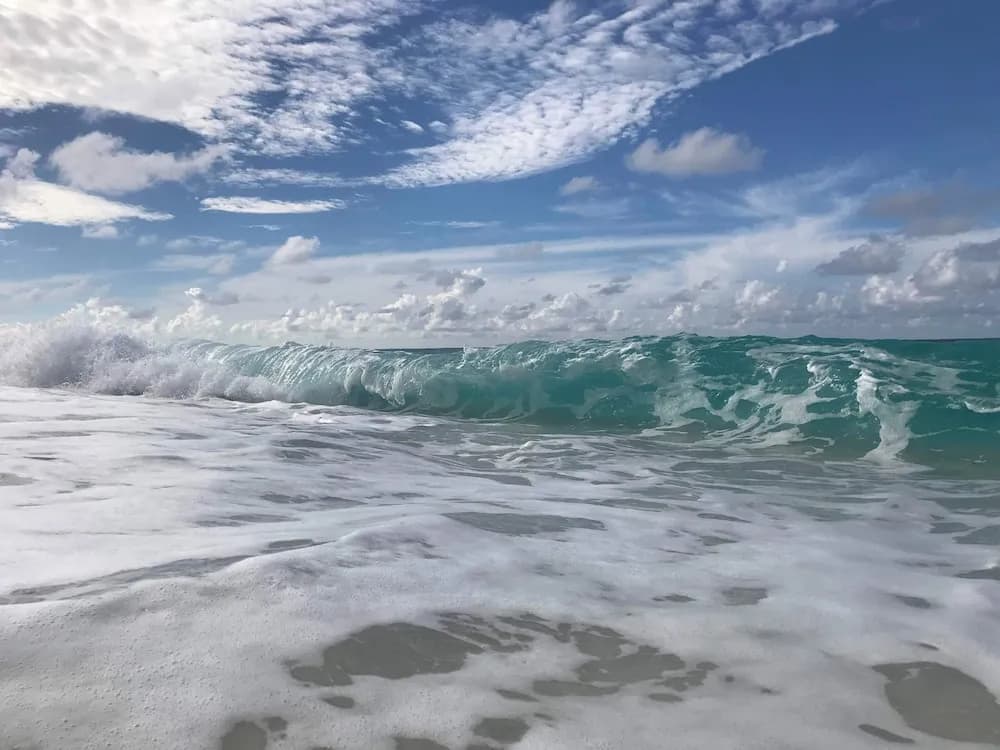 Suffix Retreat - Stay, Dive & Explore Fuvahmulah - photo 6