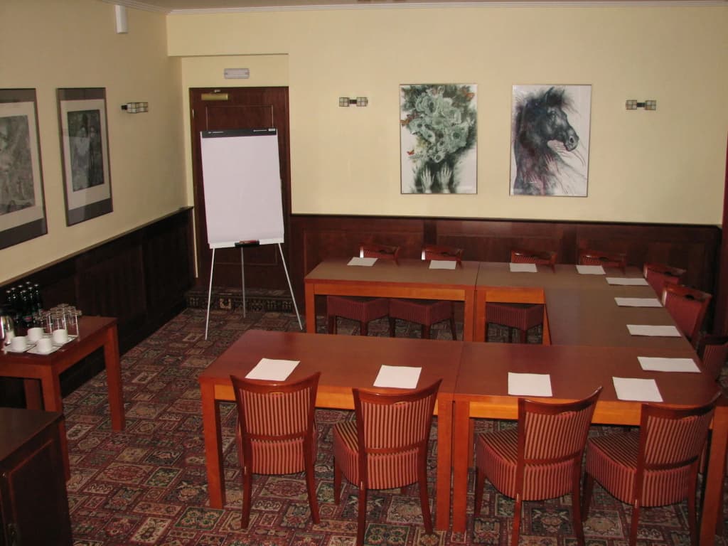 Hotel Villa - photo 15