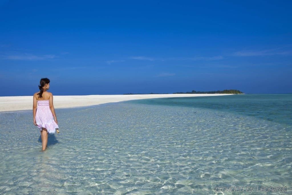 Niva Kuramathi Maldives - photo 15