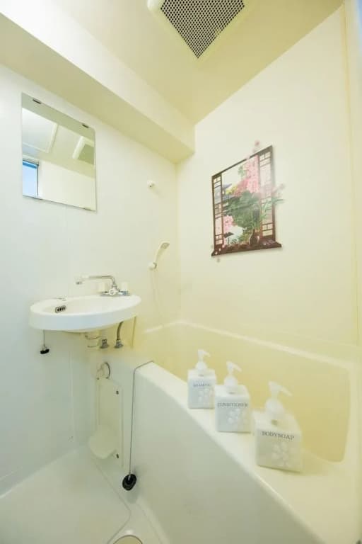 Tatsuya house310 - photo 10
