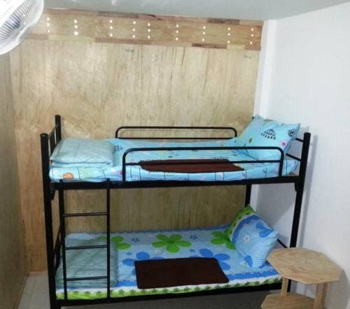 Budget Traveller Inn - main photo