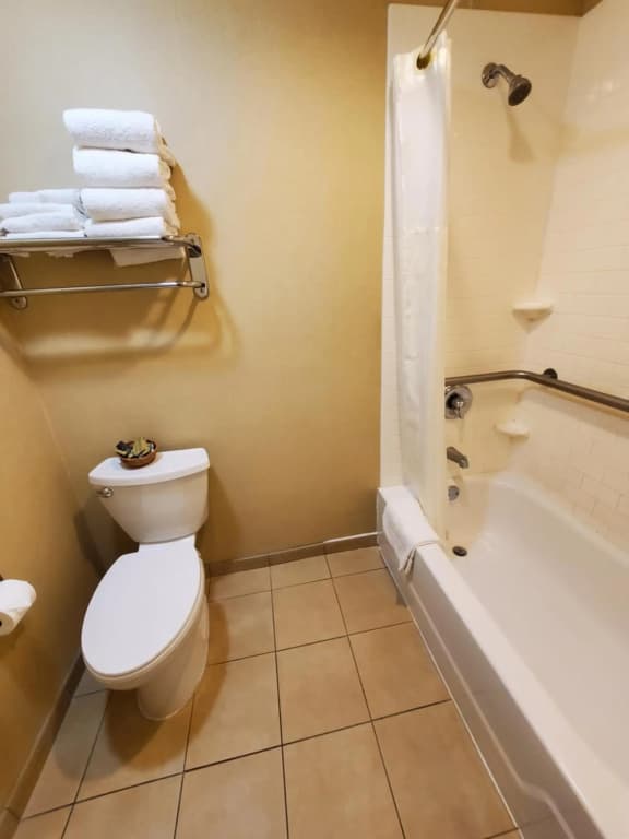 Royal Pacific Motor Inn - photo 37