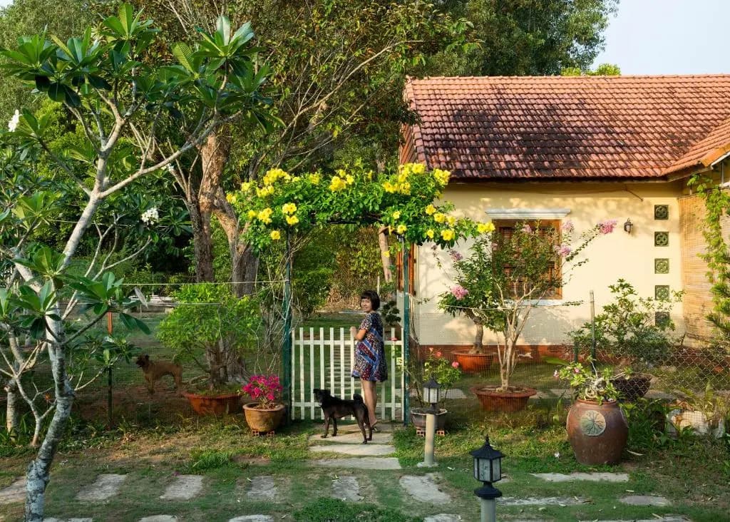 Spring Garden Homestay - photo 6