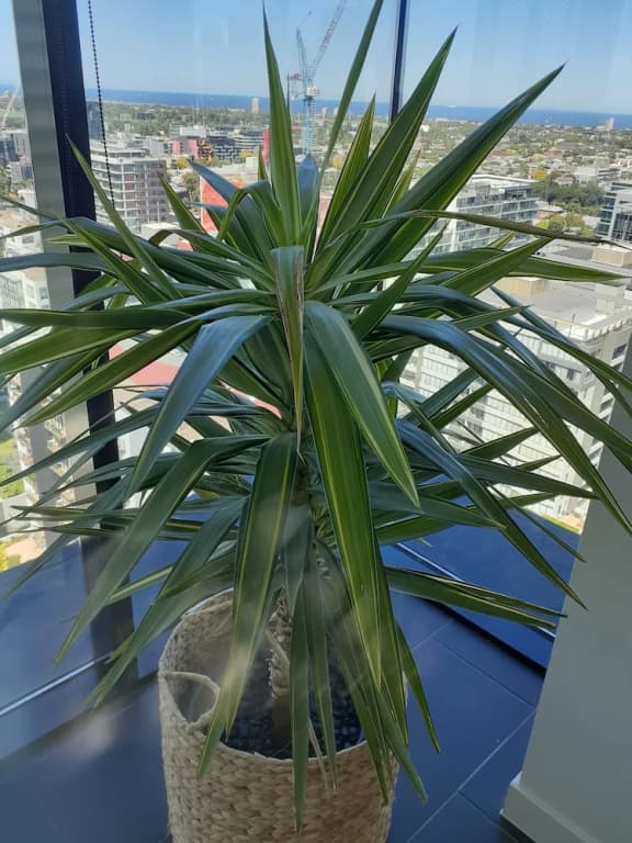 Top Floor Stunning Views - photo 17
