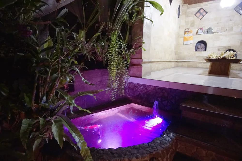 Ubud Dream Homestay - photo 10