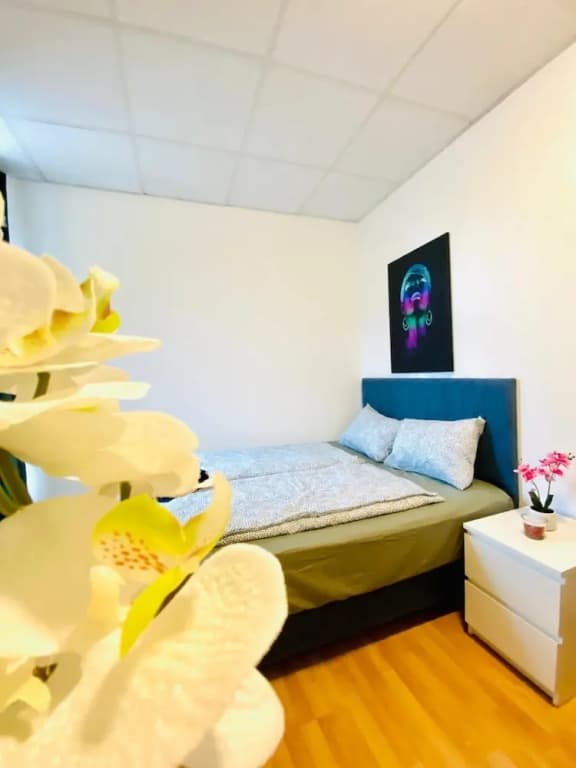 Stylish Shared 3-Bedroom Stay Near City - photo 8