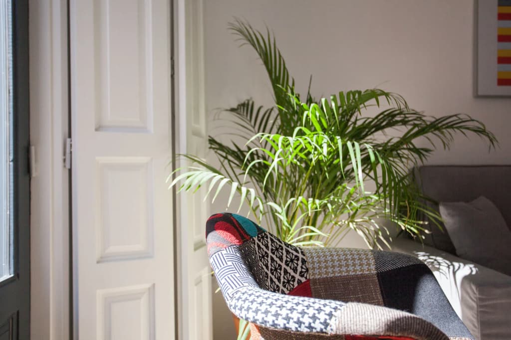 Apartment in Malasaña - photo 6