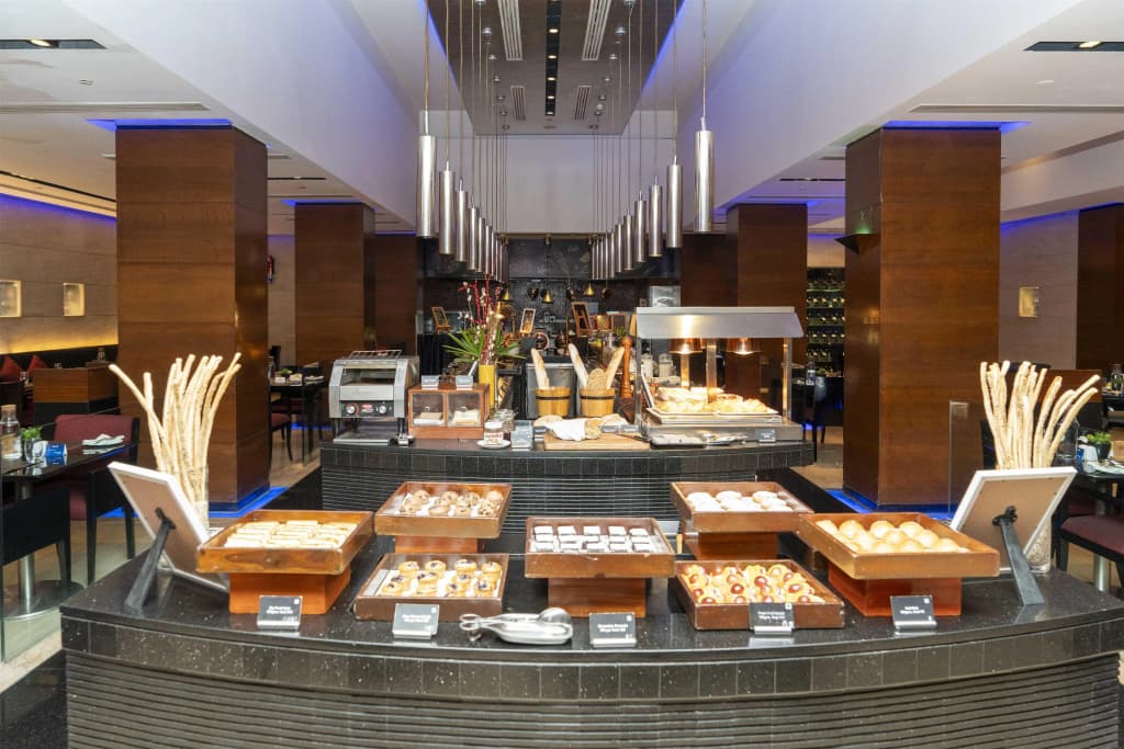 Radisson Blu Plaza Delhi Airport - photo 25