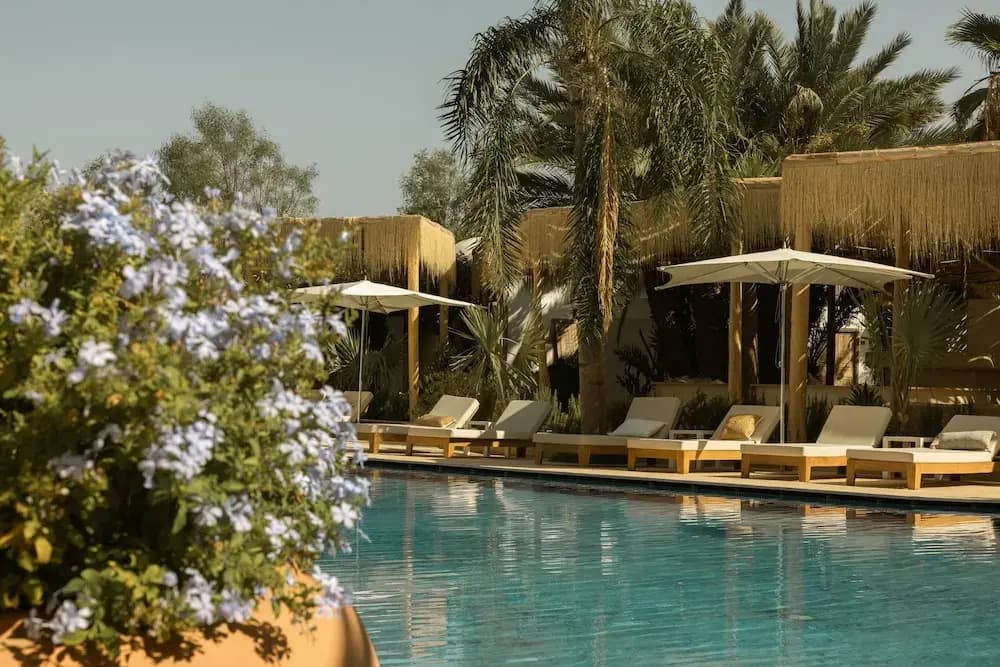 Les Palmiers Boutique Hôtel & Spa - photo 11