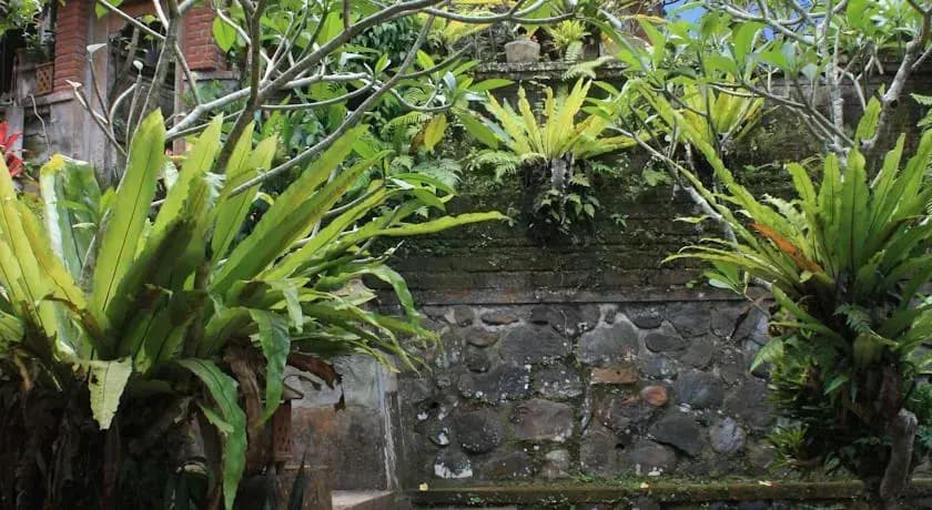 Pager Bungalow's - photo 11