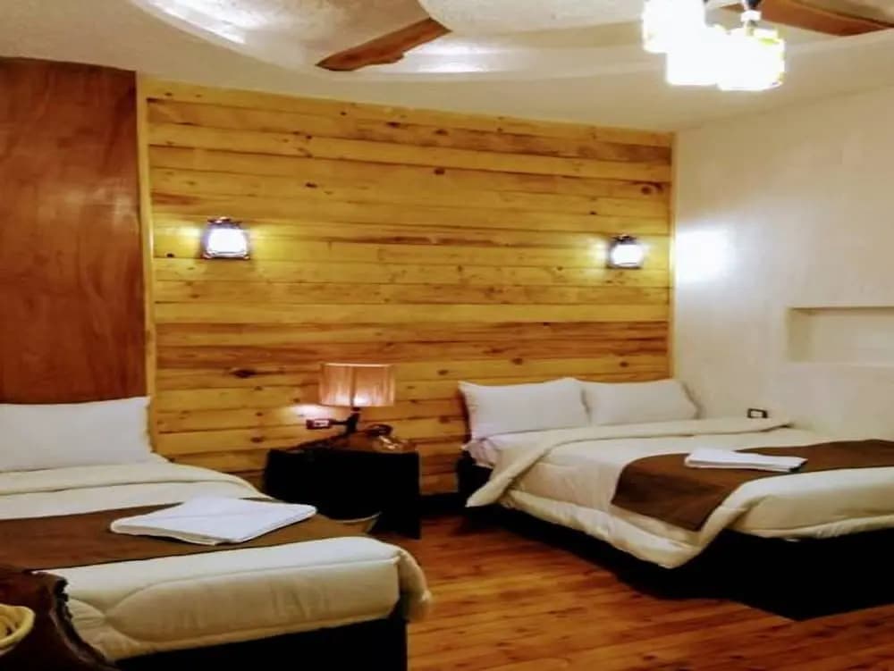 Down Town Hotel Cairo - photo 4