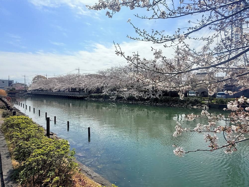 Nakakasai Kodate - photo 30