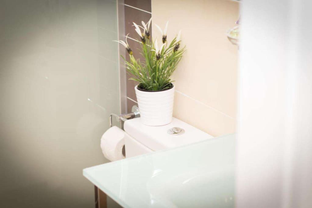 Hostal Regional - photo 14