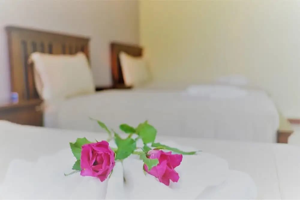 Le Anda Boutique Hotel - photo 6