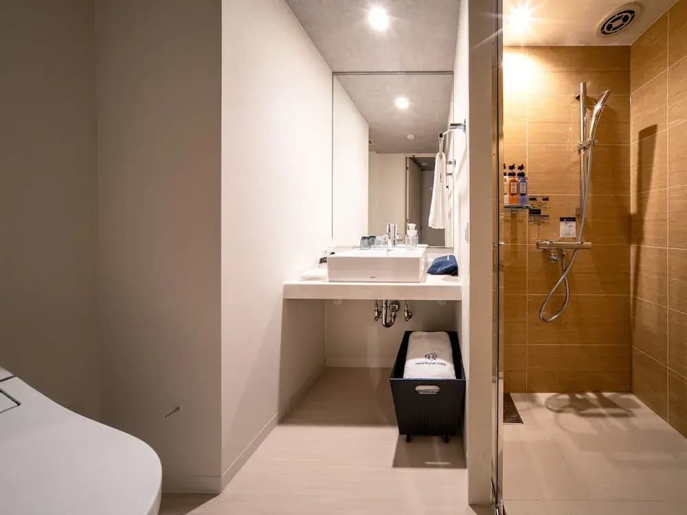 DEL style Ikebukuro Higashiguchi by Daiwa Roynet Hotel - photo 9