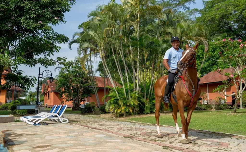 De Palma Resort Kuala Selangor - photo 22