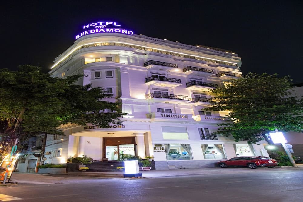 Blue Diamond Airport Hotel - photo 1