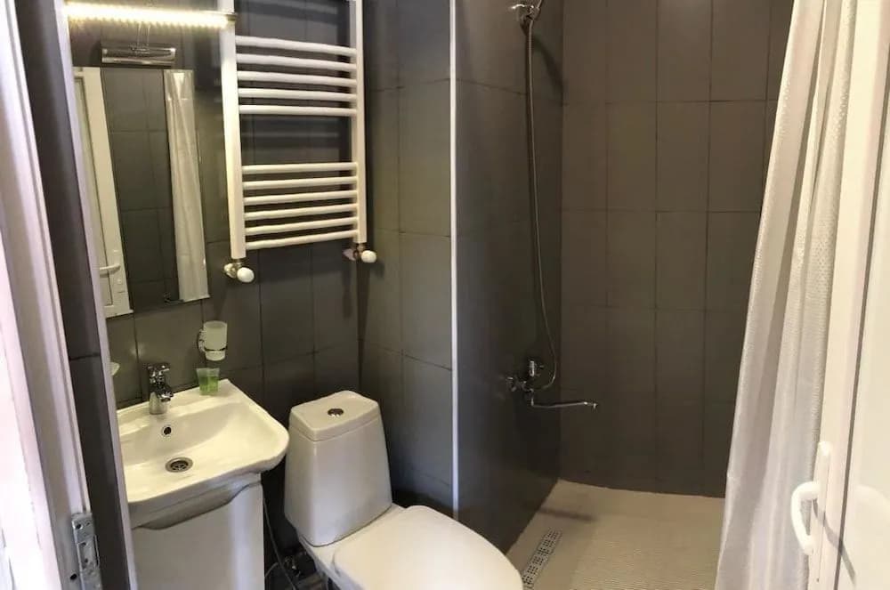 Hotel Leo Palace Tbilisi - photo 6