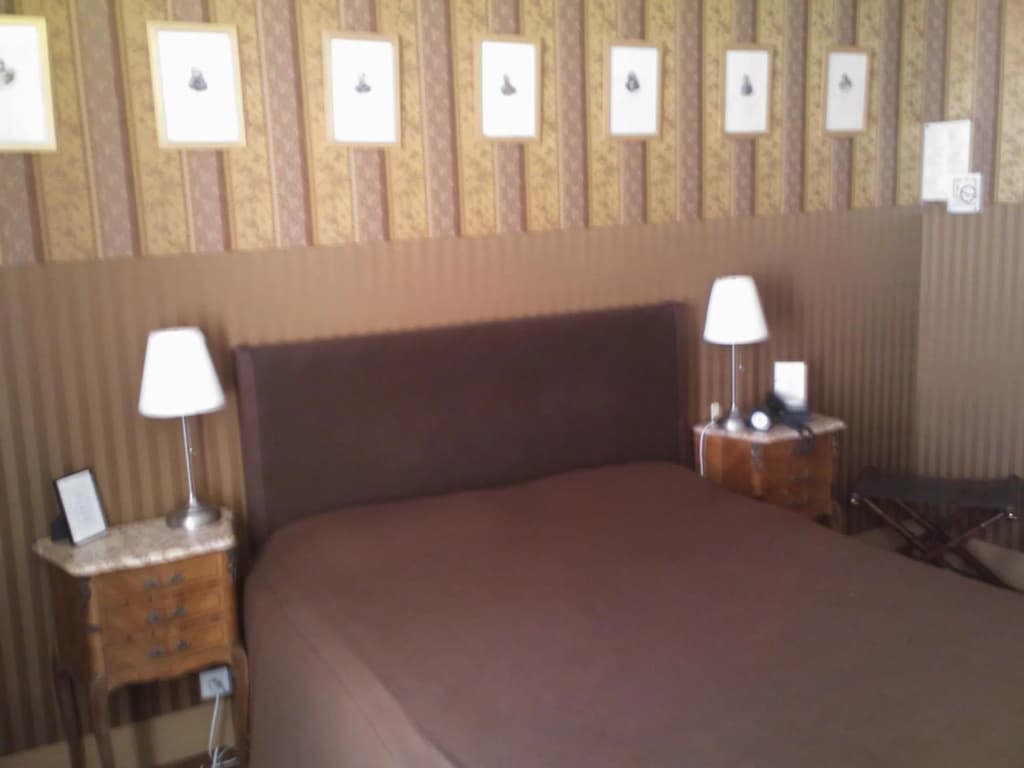 Hôtel Windsor Home - photo 4
