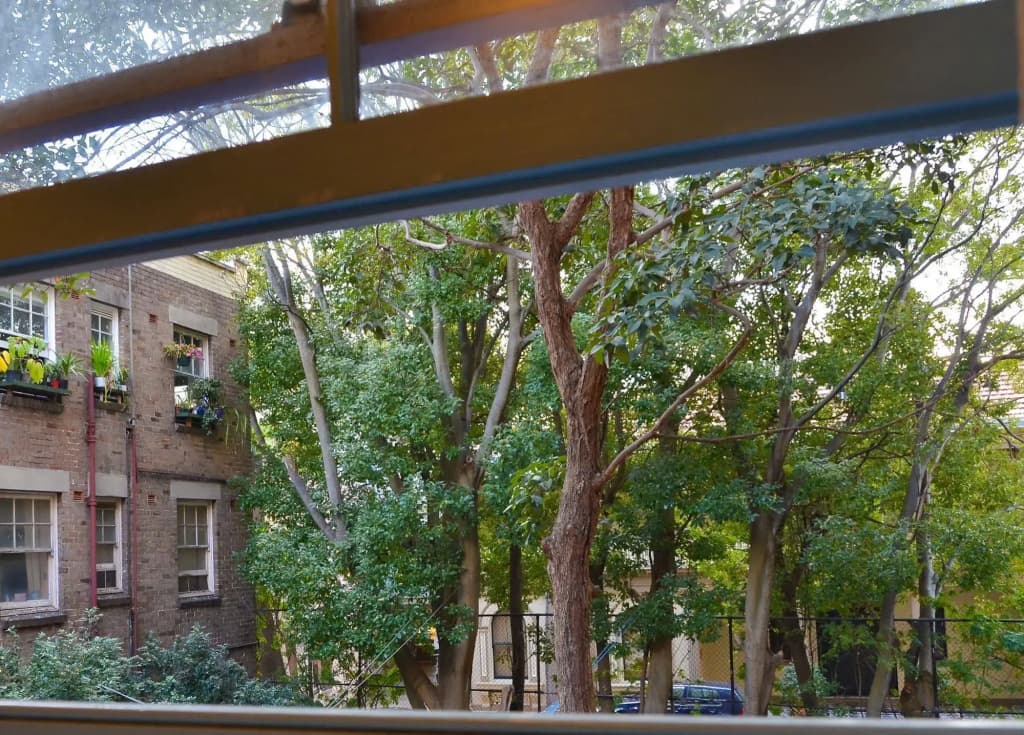 Blue Parrot Youth Hostel - photo 13