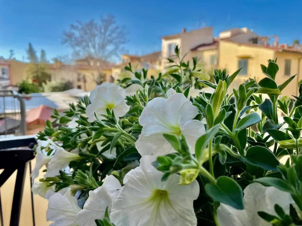 Residenza LOlimpo - photo 16