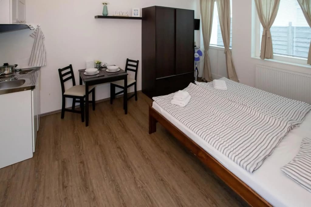 Zizkov Cosy Studio Apartments - photo 4