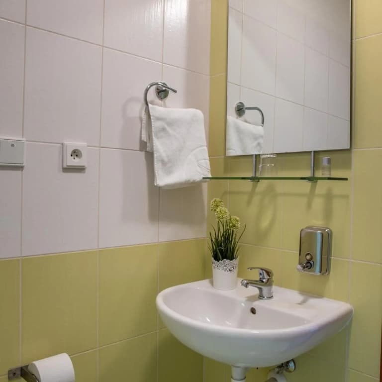 Hotel Kanarek - photo 29