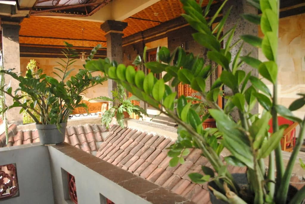 Jangkrik Homestay - photo 1