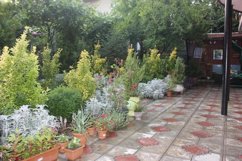Hotel Panafi - photo 6