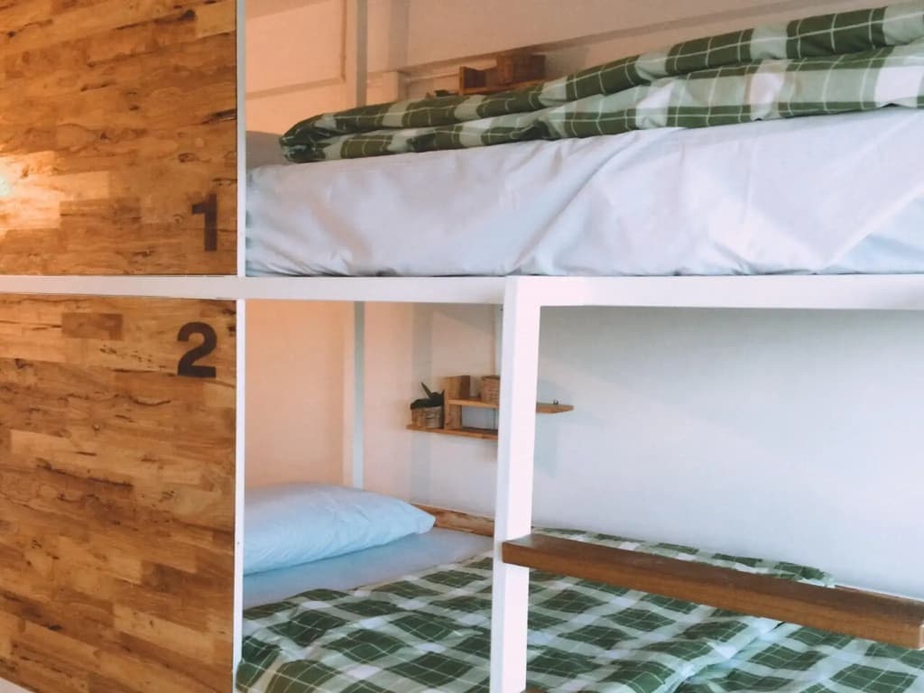 Green Sleep Hostel - photo 7